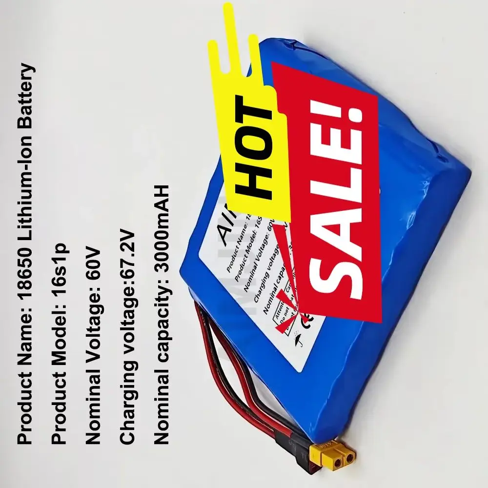 16S1P Lithium Battery Pack High Capacity for E-Unicycle Electric Unicycle Battery 60V 3000mAh