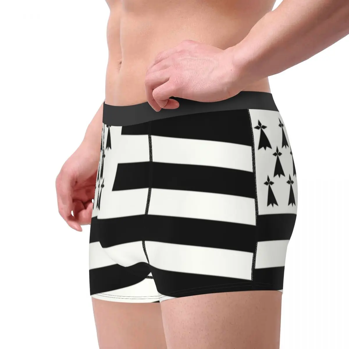 Custom Male Fashion Flag Of Brittany Underwear France Region Sign Identity Nation Boxer Briefs Soft Shorts Panties Underpants