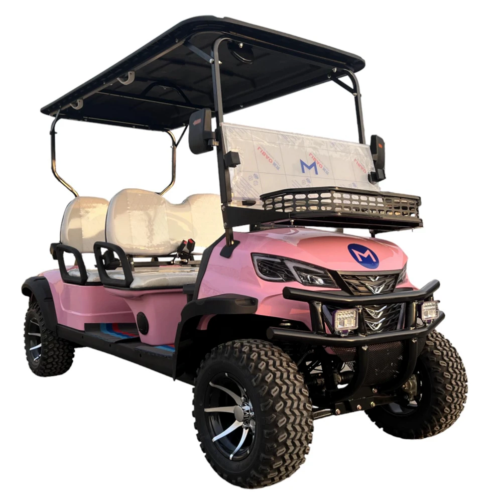 Carrito de Golf eléctrico, nuevo modelo de 2 + 2 4 asientos, 4000/5000/7000/7500W, precio de agencia