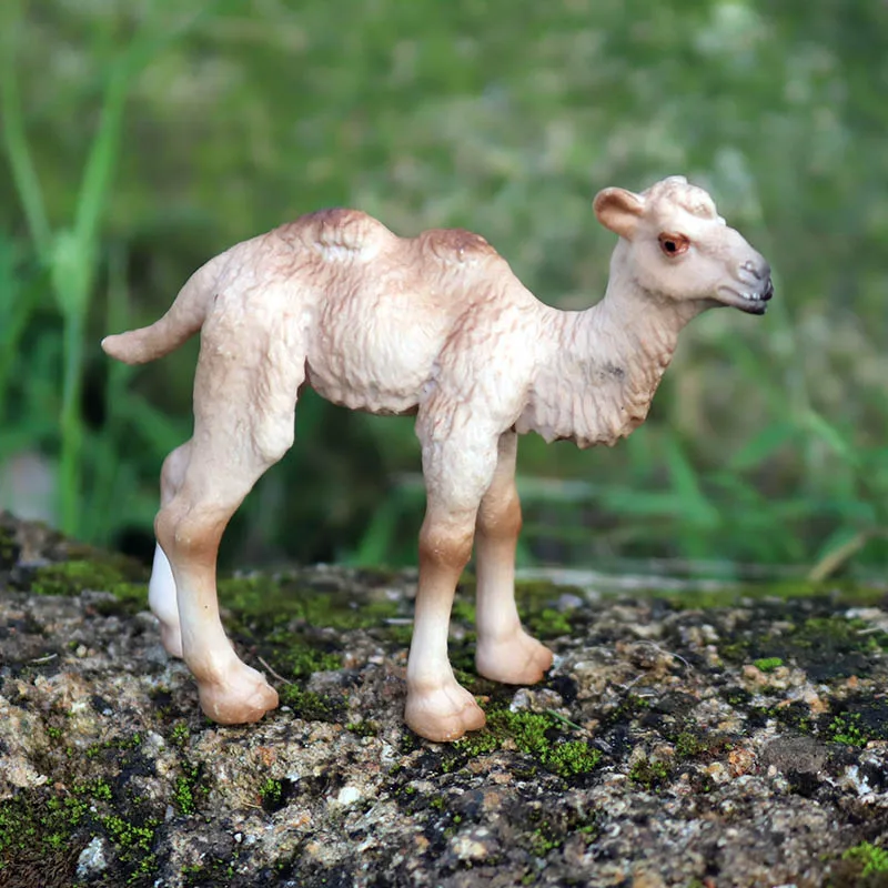 Oenux Wild Desert Camel Simulation Animal Kameel Camel Model Action Figures Solid PVC Figurines Educational Kids Toy Gift