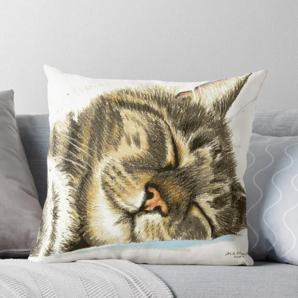 

Sleeping Tabby Cat Throw Pillow christmas ornaments 2024 Cushion Cover Set covers for pillows