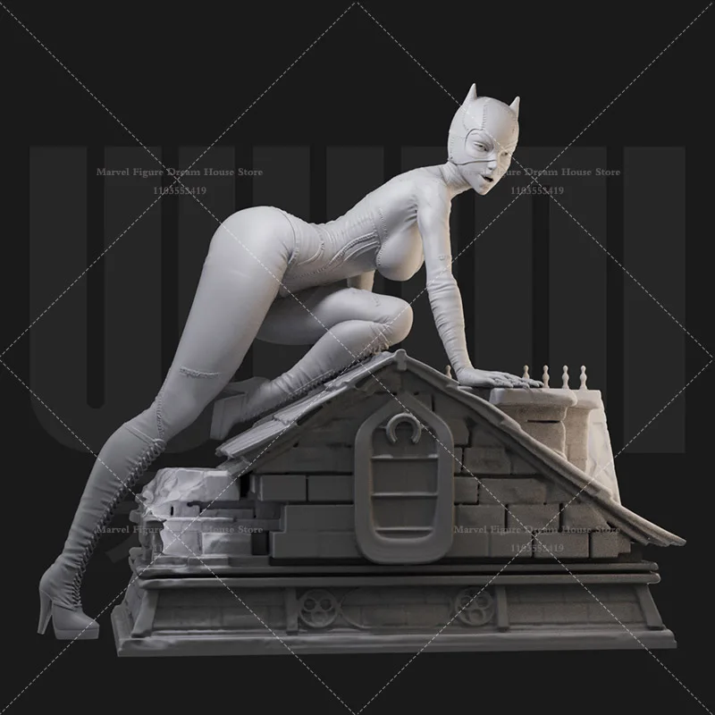 1/24 1/18 Scale DC Batman Bruce Wayne Catwoman Selina Kyle Combined Version DIY Self-assembled GK 3D Resin Un-panited Model