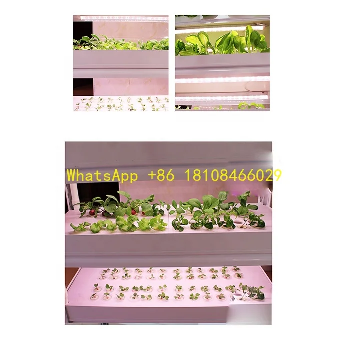 

Home Growing Vegetable Systems Soilless Agriculture Smart Garden Hydroponic Machine Vertical Hydroponic Indoor
