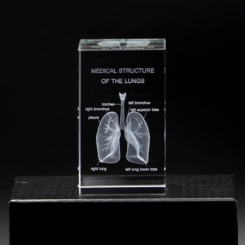 Kristal 3D gegravierte Herren Puh Anatomische medizinische Struktur der Lungen Statue, Heimdekorationsartikel, Geschenke für Medizinstudenten