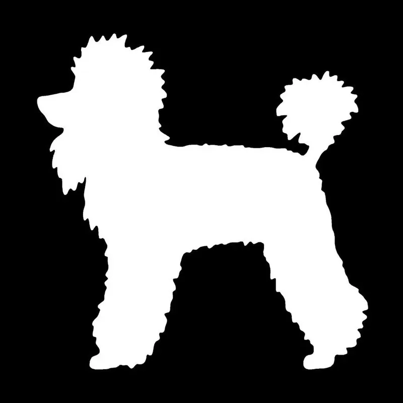 

Poodle Dog 12.4*12.7CM Cute Animal Vinyl Decal Classic Creative Cartoon Car Sticker
