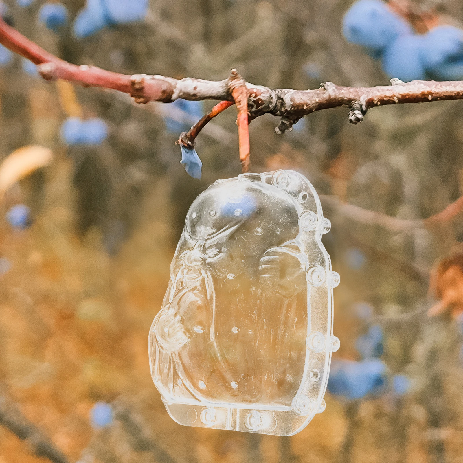 

Fruit Shaping Mold Set Transparent Reusable Garden Tool for Growing Vegetables and Fruits Creative DIY Plant Forming Aid Small