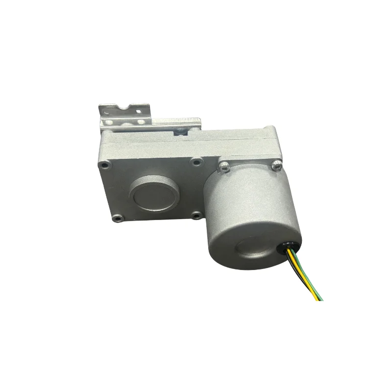 Brushless DC Gear Motor 24V 30RPM for Slush Machine, High Torque Customizable Speed Commercial Frozen Beverage Dispenser Motor