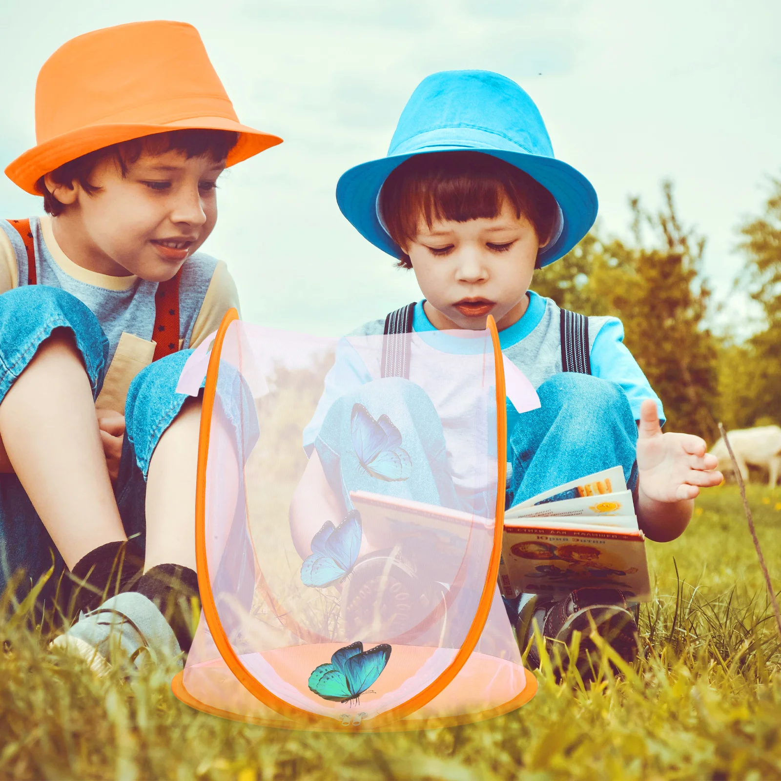 1 قطعة قفص الحشرات طوي فراشة تربية الموئل شبكة الضميمة كاتربيلر تربية عدة للأطفال التعليمية في الهواء الطلق الطبيعة