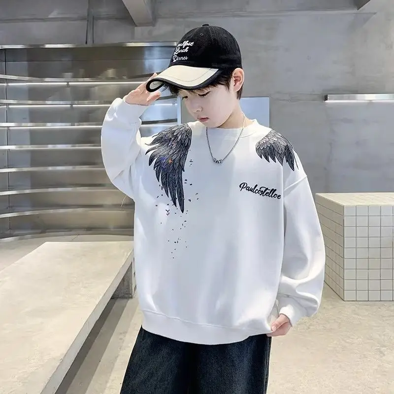 2026 Spring Boys Sweatshirt Long Sleeve T Shirt Kids Fashion Casual Tops Children Clothing Streetwear Pullover Upper Garment
