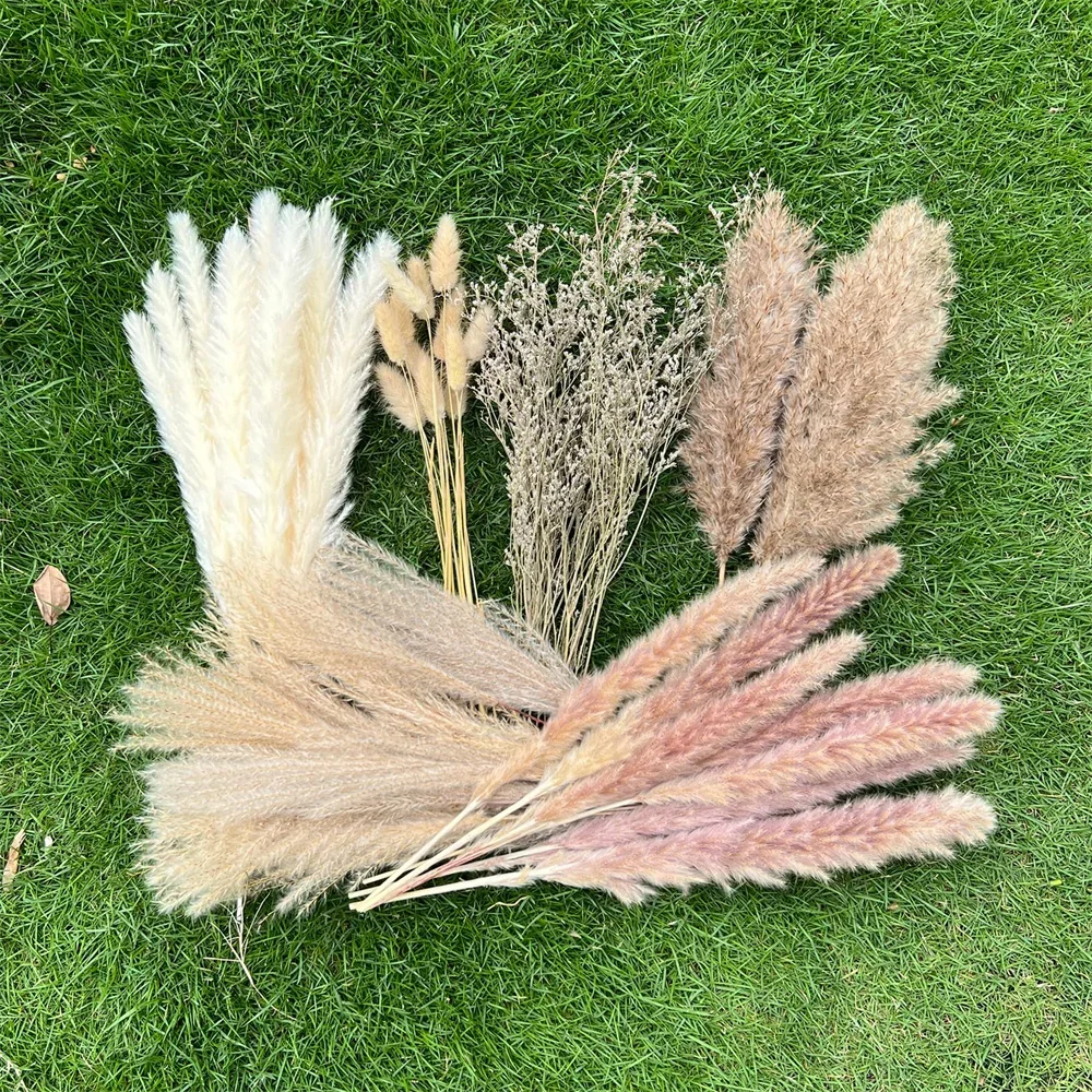 

Natural Wheat Ear Bunny Tails Dried Flowers Set - Ideal for Bohemian - Inspired Home Decor, Bathroom Makeovers & Wedding