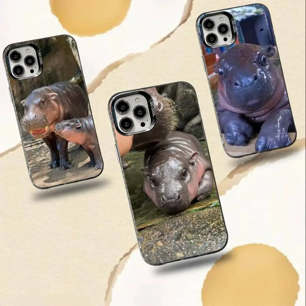 

H- Hippo Moo D-Deng Phone Case For iPhone 16,15,14,13,12,11,Pro,Max,Plus,Mini,XS,SE Anti Fall Black Matte Hard Bumper