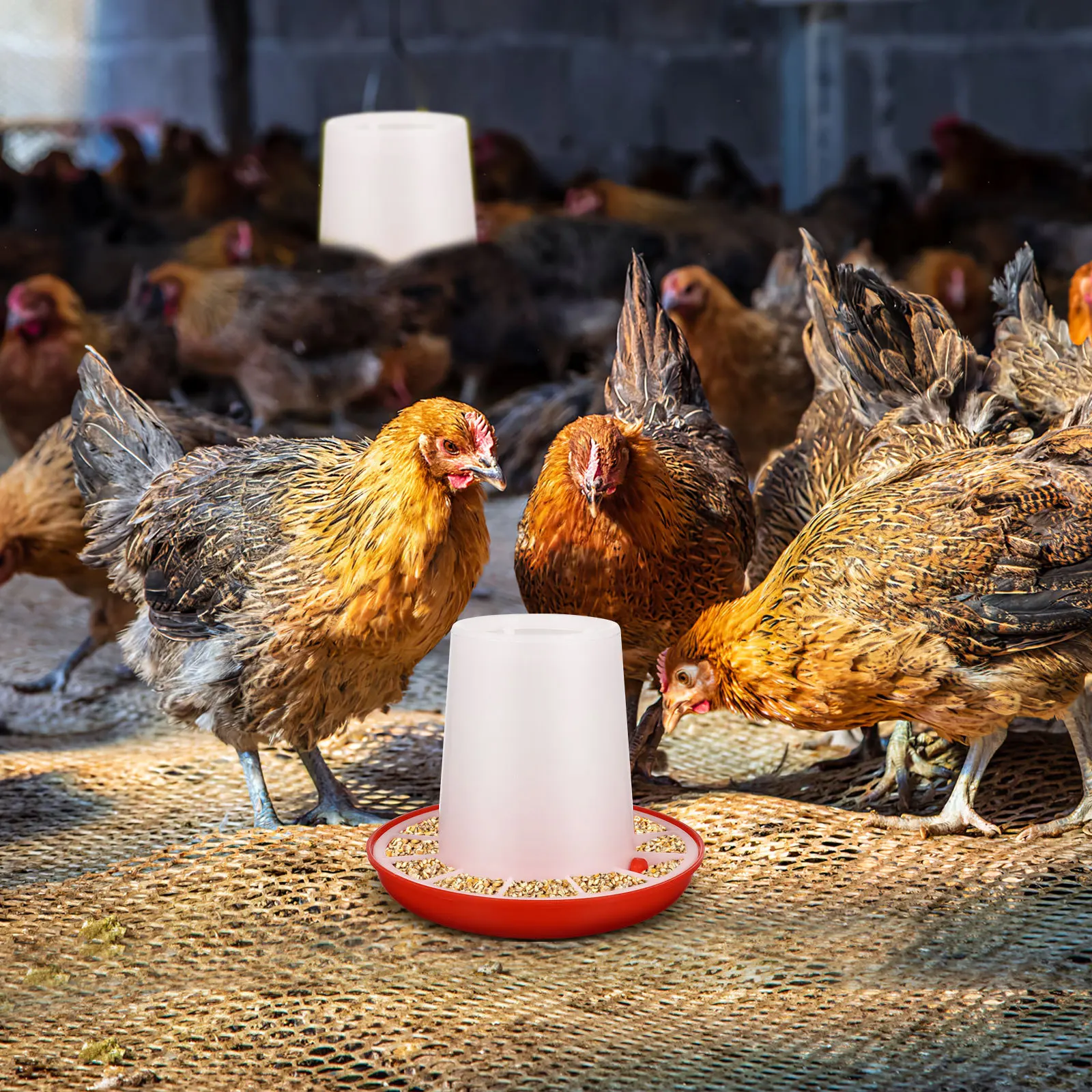 

2 pcs Chicken Feeder Premium Plastic Poultry Food Trough Durable Sunproof Anti-Spill Feeding Bowl For Chicken Pigeon Cage