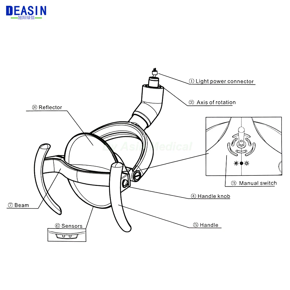 Thumbnail 2 - #1 Trending Oral Lamps Right Now