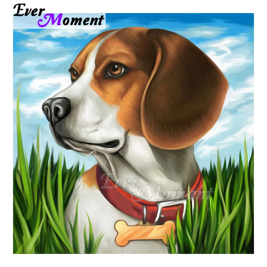 

Dog Bone Collar Full Square Round Drill 5D DIY Ever Moment Diamond Painting Picture Of Rhinestone Mosaic Embroidery ASF1731