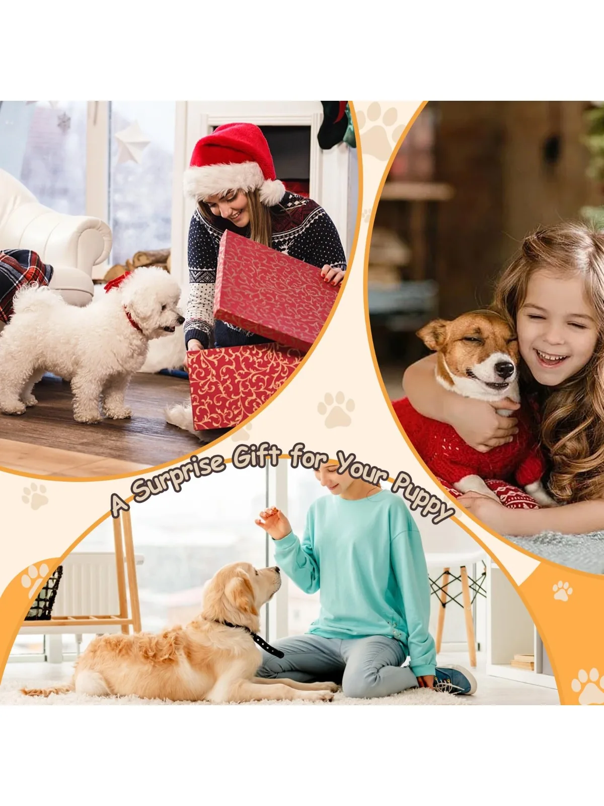 Hunde-Kratzbrett mit Snackbox, Holz Stressabbau-Kratzpad für Hunde und Katzen, Krallenfeile-Spielzeug für Hunde