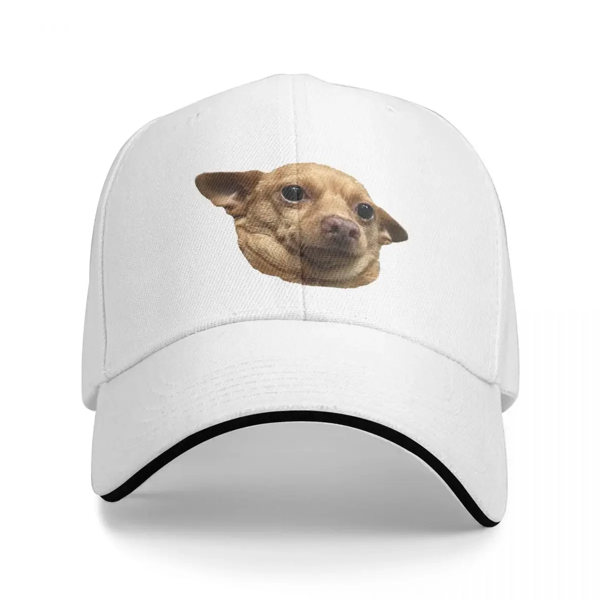 All Knowing Dog Cap Fashion Casual Baseball Caps Adjustable Hat Hip Hop Summer Unisex Baseball Hats Customizable Polychromatic