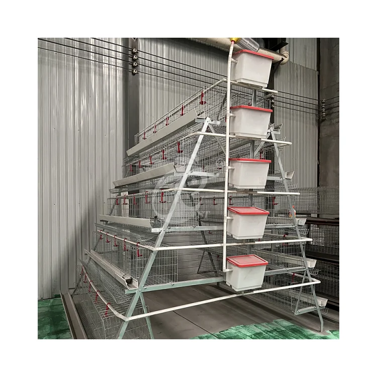 10000 Layer Chickens, Fully Automatic Bird Cage, Poultry Farm Equipment, Chicken Coop System