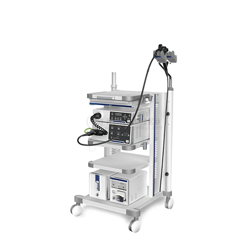 SY-P006-1 High Quality Medical Device Hospital Animal Veterinary Video Gastroscope and Colonoscope System