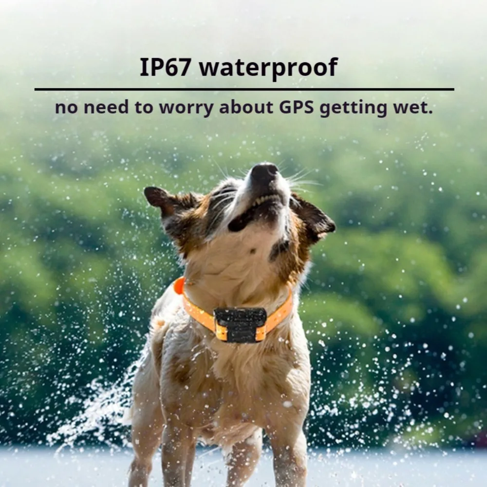 4G GPS Tracker for Hound Cow Sheep Dog - Waterproof Collar with Location Query, Track Query, Geo-fence, Voice Monitor, LED Light