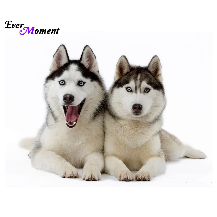 

Ever Moment Diy Diamond painting cross stitch animal diamond sets full diamond embroidery dog for home decorASF391