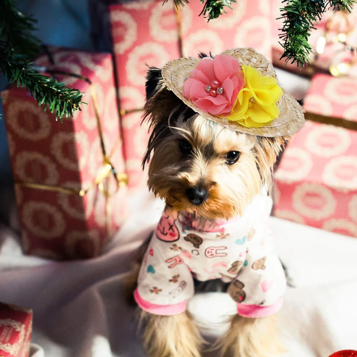 

Dog Straw Hat Pet Summer Hats Sun Visor Random Flower Color Lightweight Safe Adjustable Chin Straps Unique Decoration Cat Dog