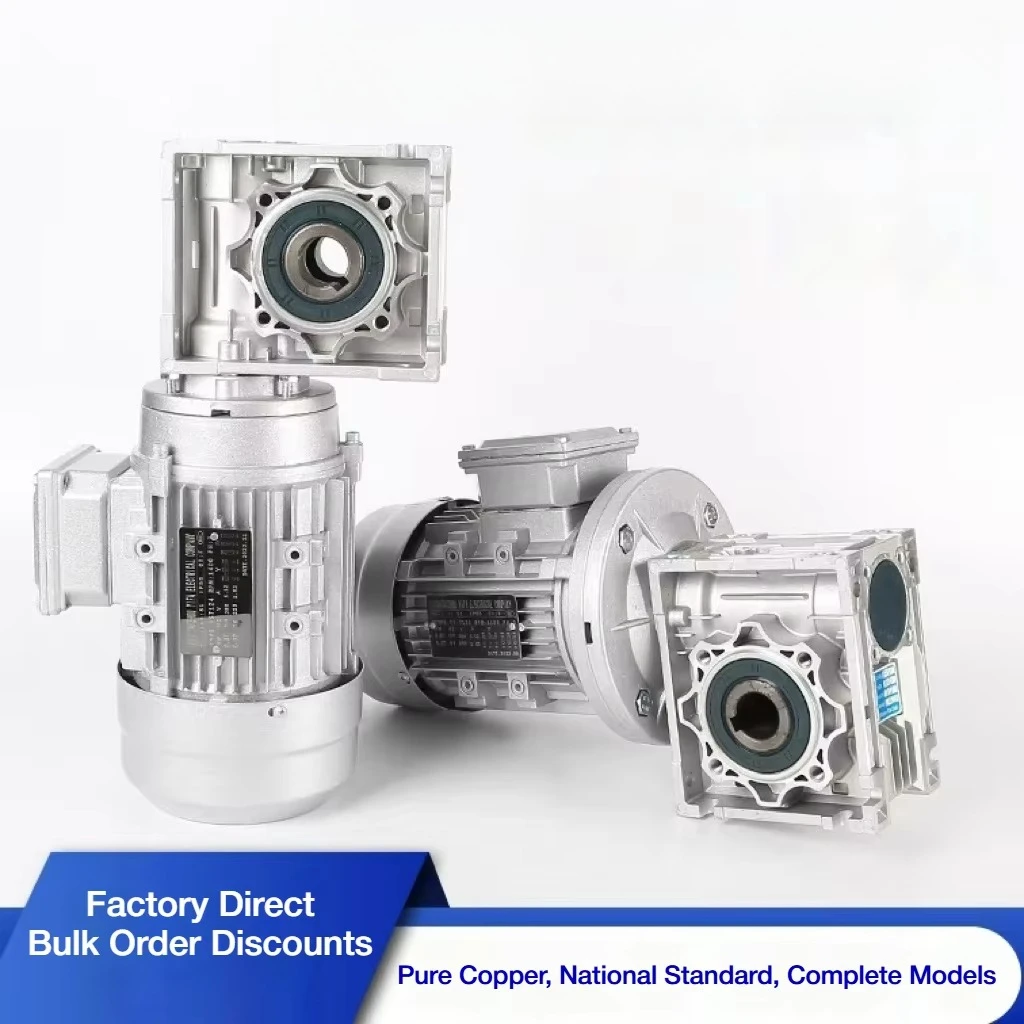 Factory Price Brand High Quality Three Phase 220V/230V 380V 440V AC Asynchronous Motor Worm Gear Reducer Dough Mixer Flange