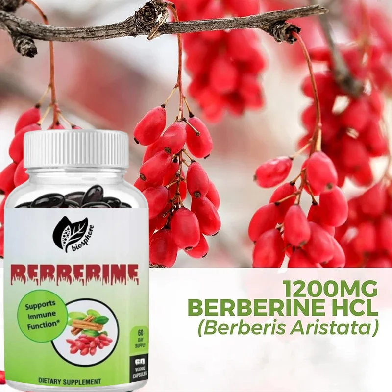 1200mg Berberine and 100mg Ceylon Cinnamon, 60 Vegetarian Capsules for Gastrointestinal Health