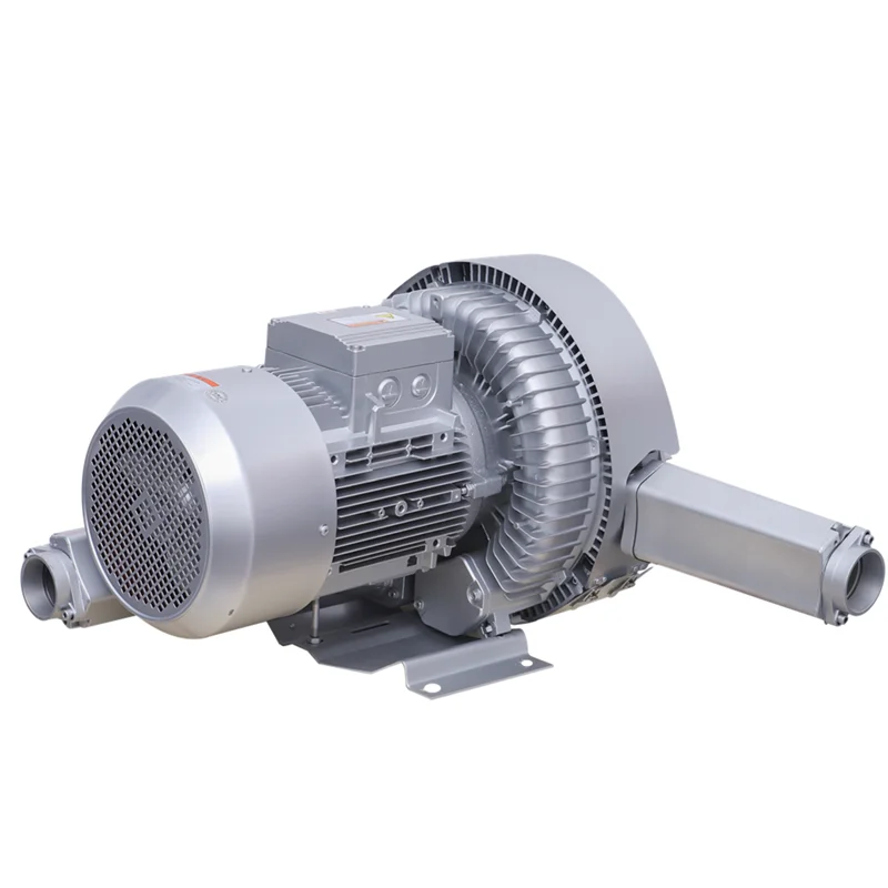 Double Impeller High Pressure Vortex Fan Frequency Conversion Blowing and Suction Dual Purpose Double Pole Vortex Type Air Pump