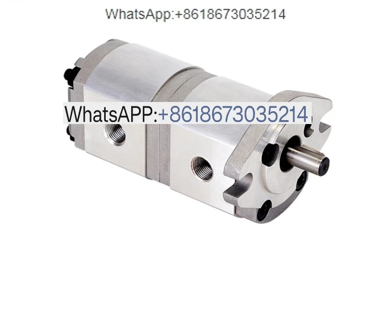 HGP-11A-F0.5-0.5R Hydraulic Duplex Gear Pump Model 0.5 to 8 Displacement of Can be Matched In Front and Back