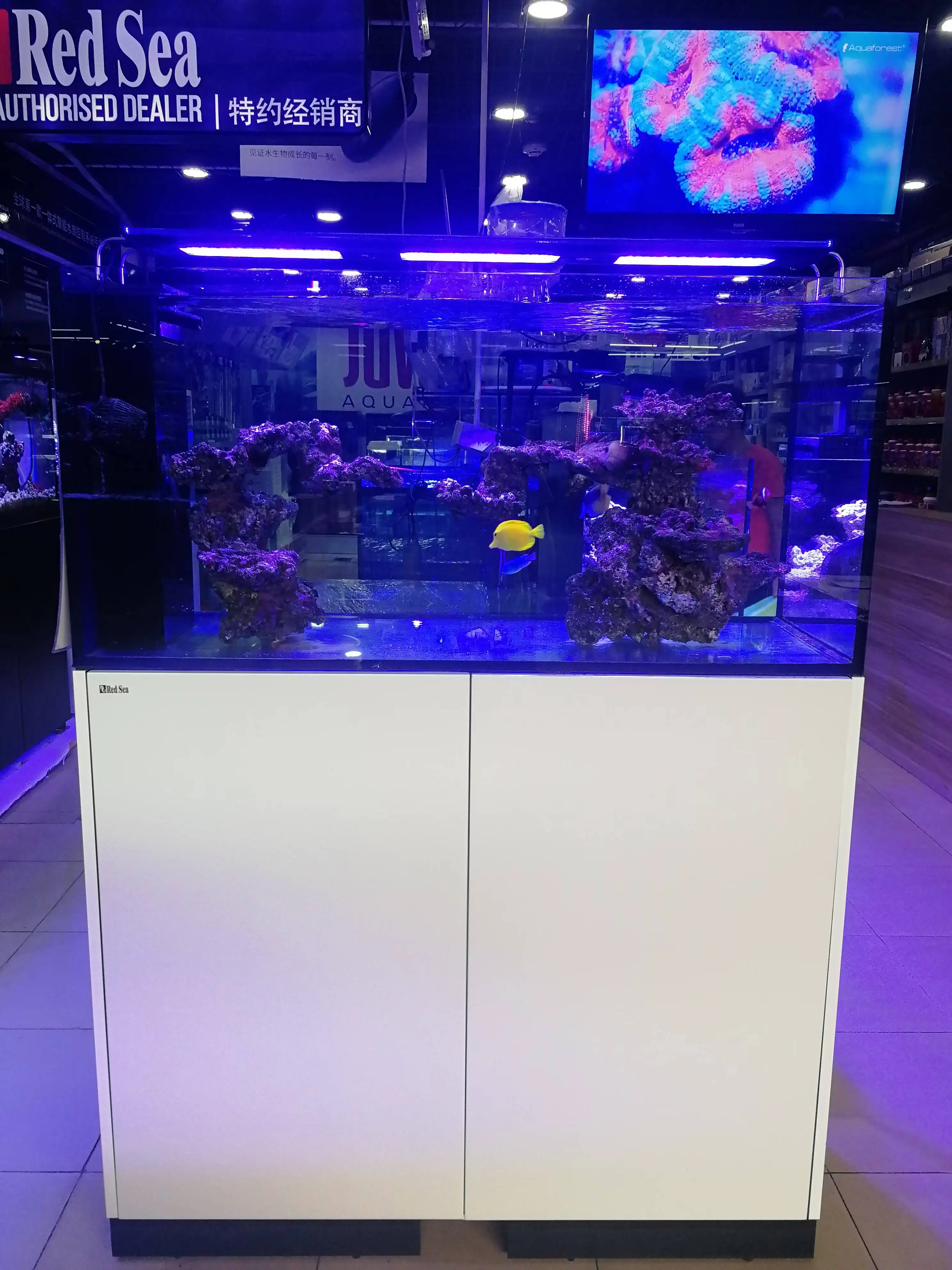 Reefer G2 250L Eco-Friendly Square & Rectangle Glass Home Office Deluxe Fish Tank With Base Cabinet Box Coral Saltwater Aquarium