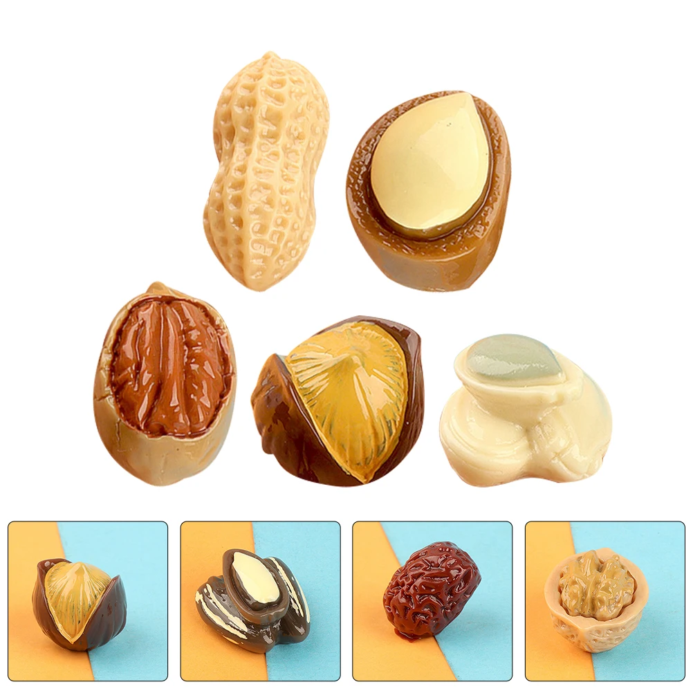 

15 Pcs Simulated Nuts Decoration Miniature Simulation Realistic for Display Resin Diy
