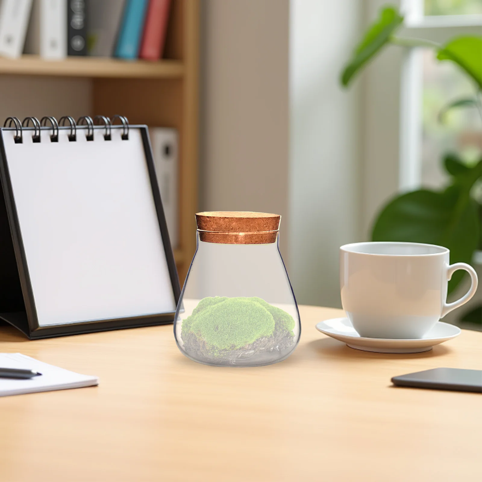 

Storage Pot Glass Bottle Creative Clear Jar with Cork Stopper for DIY Crafts Micro Landscape Terrarium Succulent Plant Vase