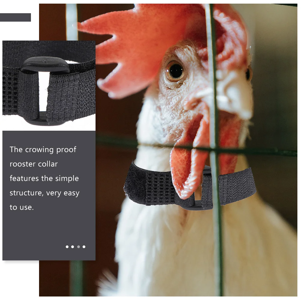 4 Pcs Neck Rooster Collar Anti-crowing Belt for Anti-hook Duck Neckband Poultry