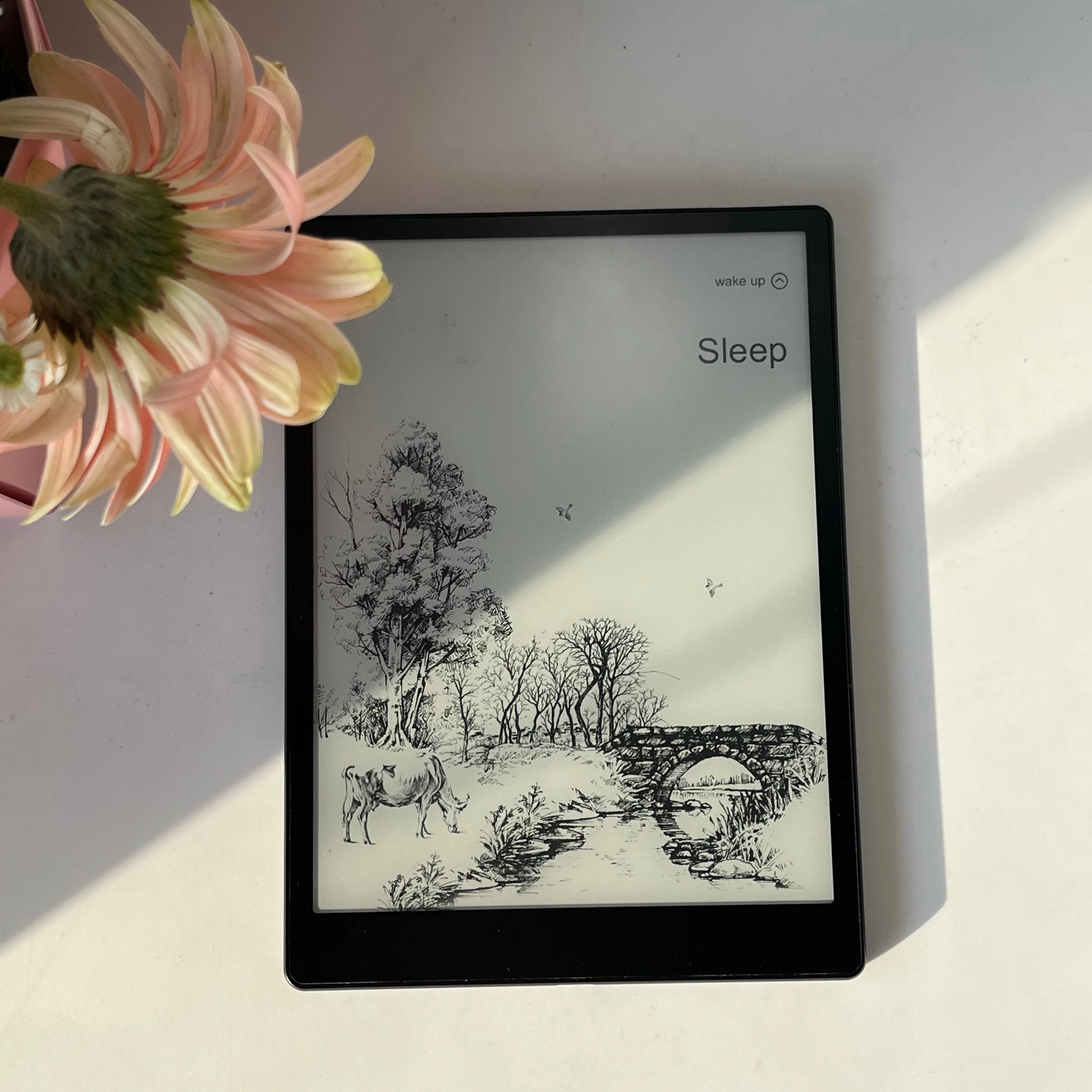 

Электронная книга с 8,2-дюймовым экраном, 64 ГБ ПЗУ, большим сенсорным E-ink дисплеем, Android, аккумулятором 3000 мАч, стилусом, чехлом и поддержкой нескольких языков