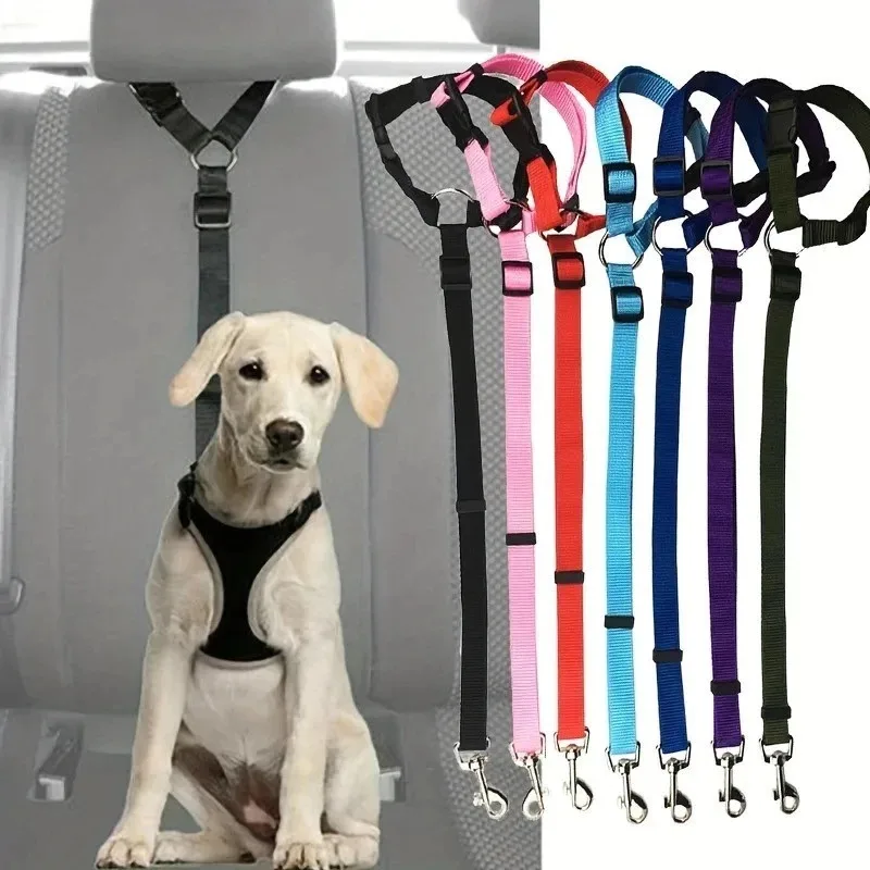 #44 Best Dog Leads to Buy In 2026