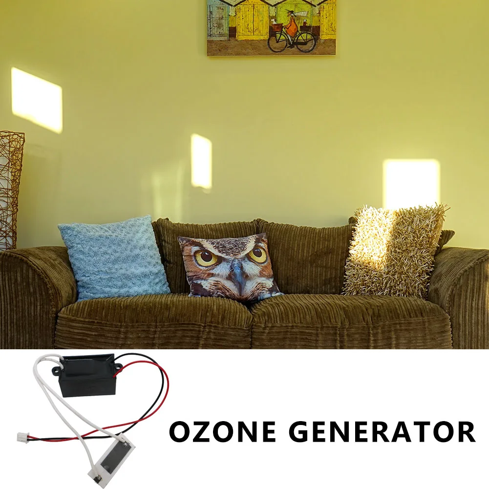 Draagbare Ozon Generator Dc 5V 12V 100Mg Vissenkom Aquarium Ozon Luchtreiniger Luchtzuivering Generator Benodigdheden