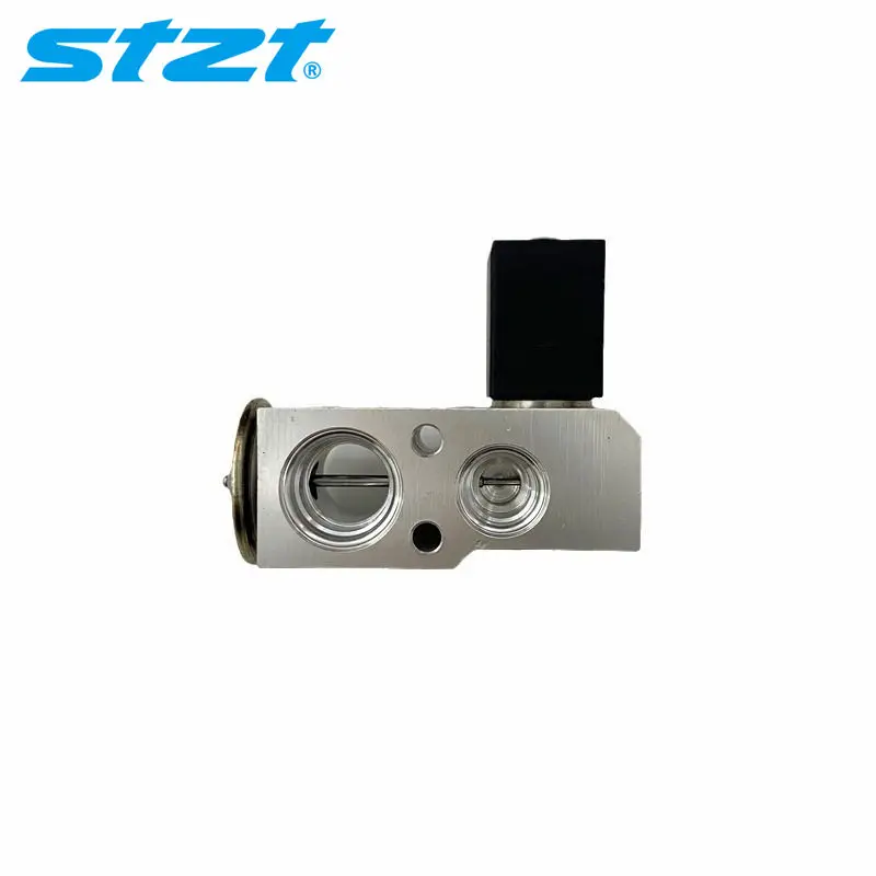 

STZT 64116805502 Auto Parts Expansion valve for Mercedes Benz W176 W246 W242 C117 X117 X156