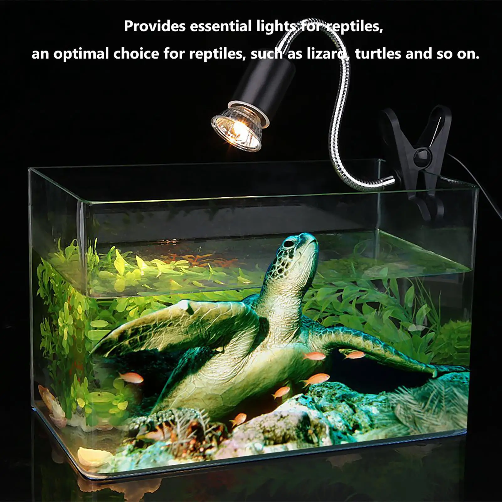 75W Ceramic Heat Lamp Bulb for Reptiles, Turtles & Aquariums - for pet Heating Light Emitter