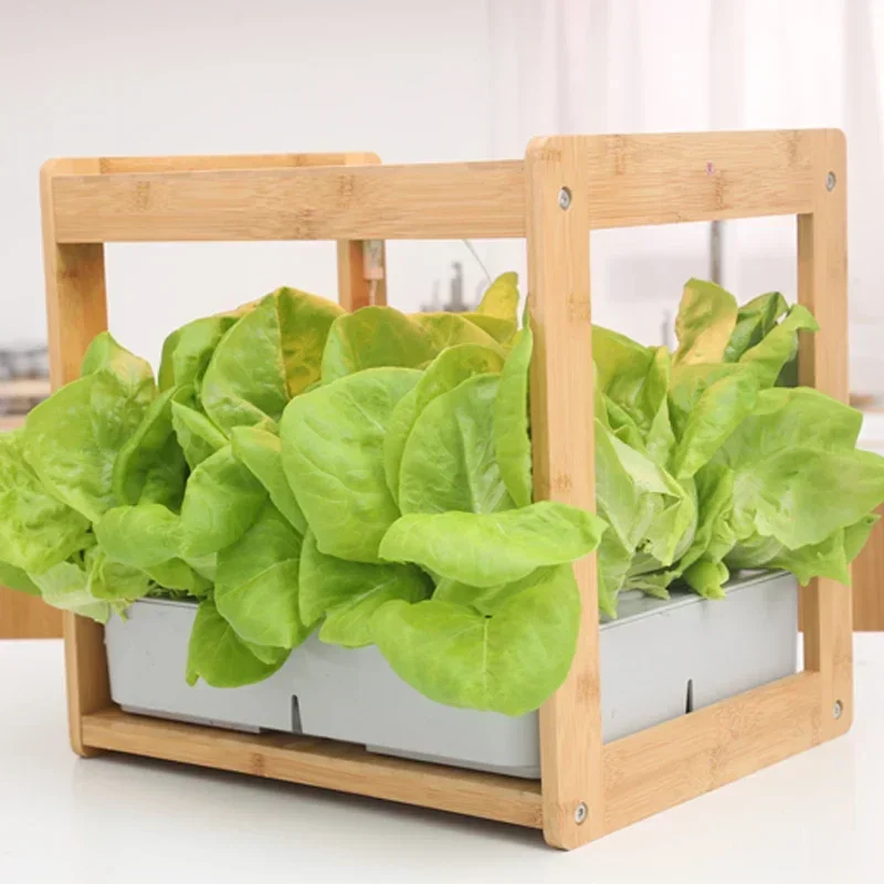 Indoor vertical shelf plant seedlings green cultivation vegetable grow system Hydroponic plant grow light