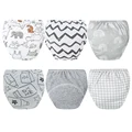 6pcs