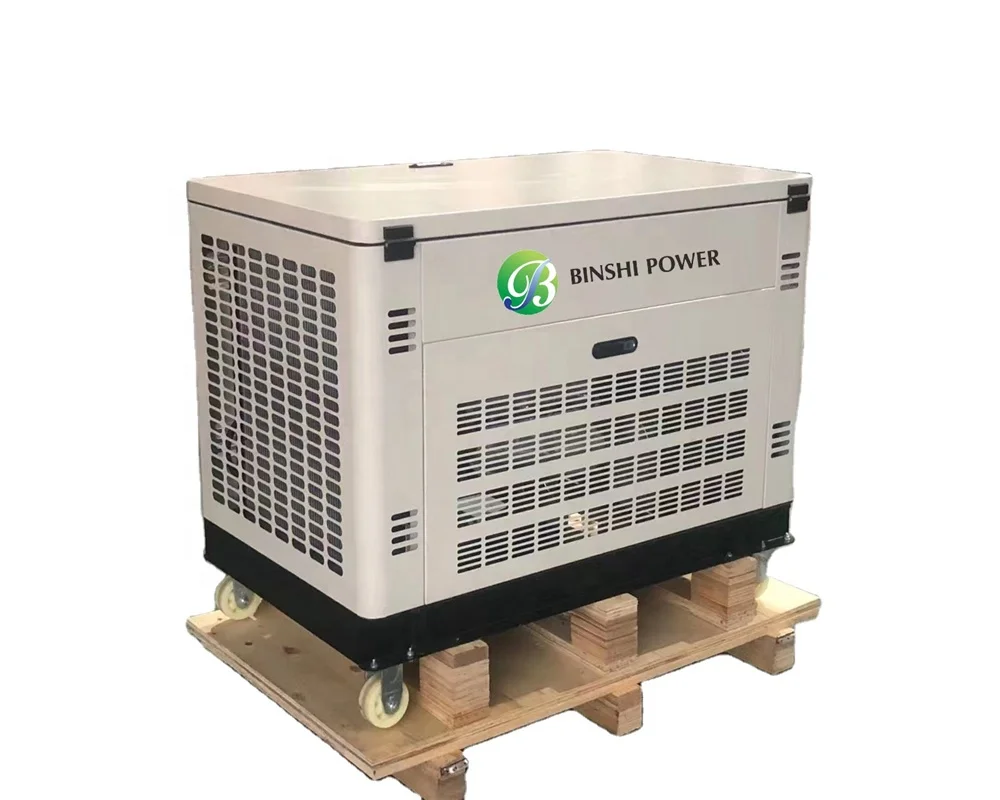 10kw 12kva Silent Gas Petrol Generator with Canopy LPG LNG Natural Gas Gasoline Dual Fuel Generator for Home