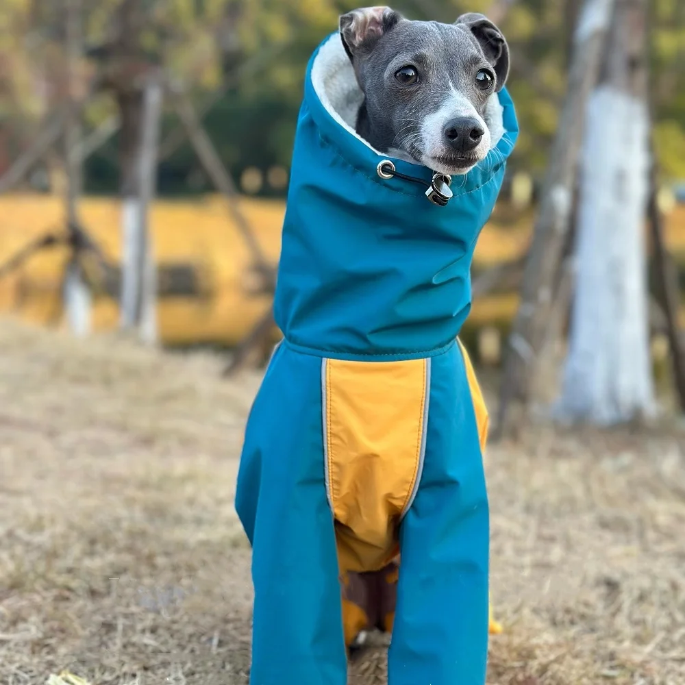 Thumbnail 4 - #52 Top Waterproof Dog Jackets Picks for Every Budget
