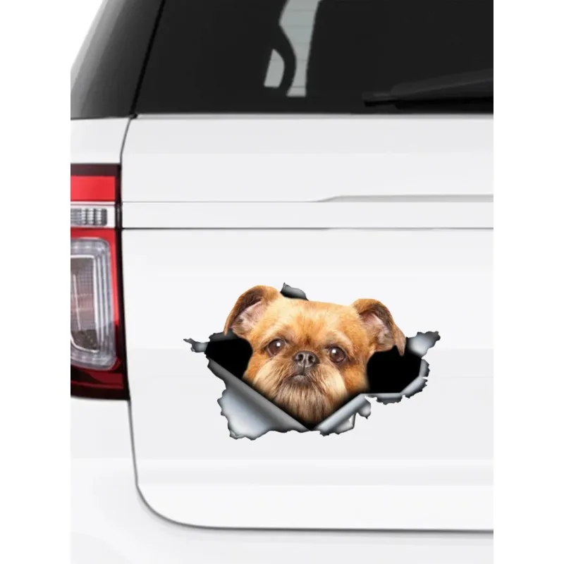 13/17cm Car Sticker Brussels Griffon Dog 3D Pet Car Accessories Pegatinas Para Coche DIY Car Styling PVC KK