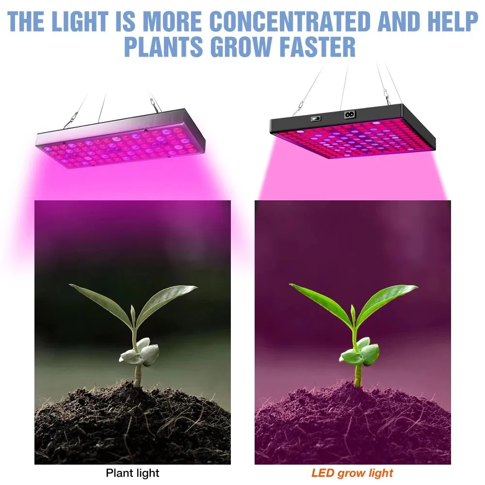 LED 식물 성장등 2835 풀 스펙트럼 식물 램프 성장 전구 2000W 3000W 실내 식물 온실 묘목등
