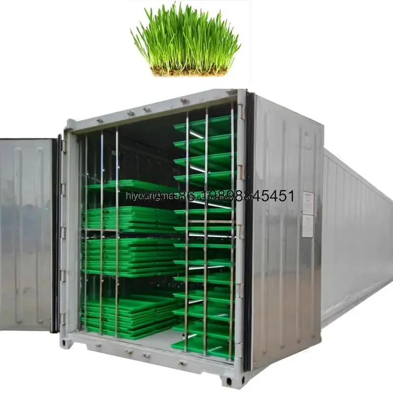 Wmwmnu for Hydroponic Big 100kg Daily Output Animals Hydroponic Fodder Barley Sprouting