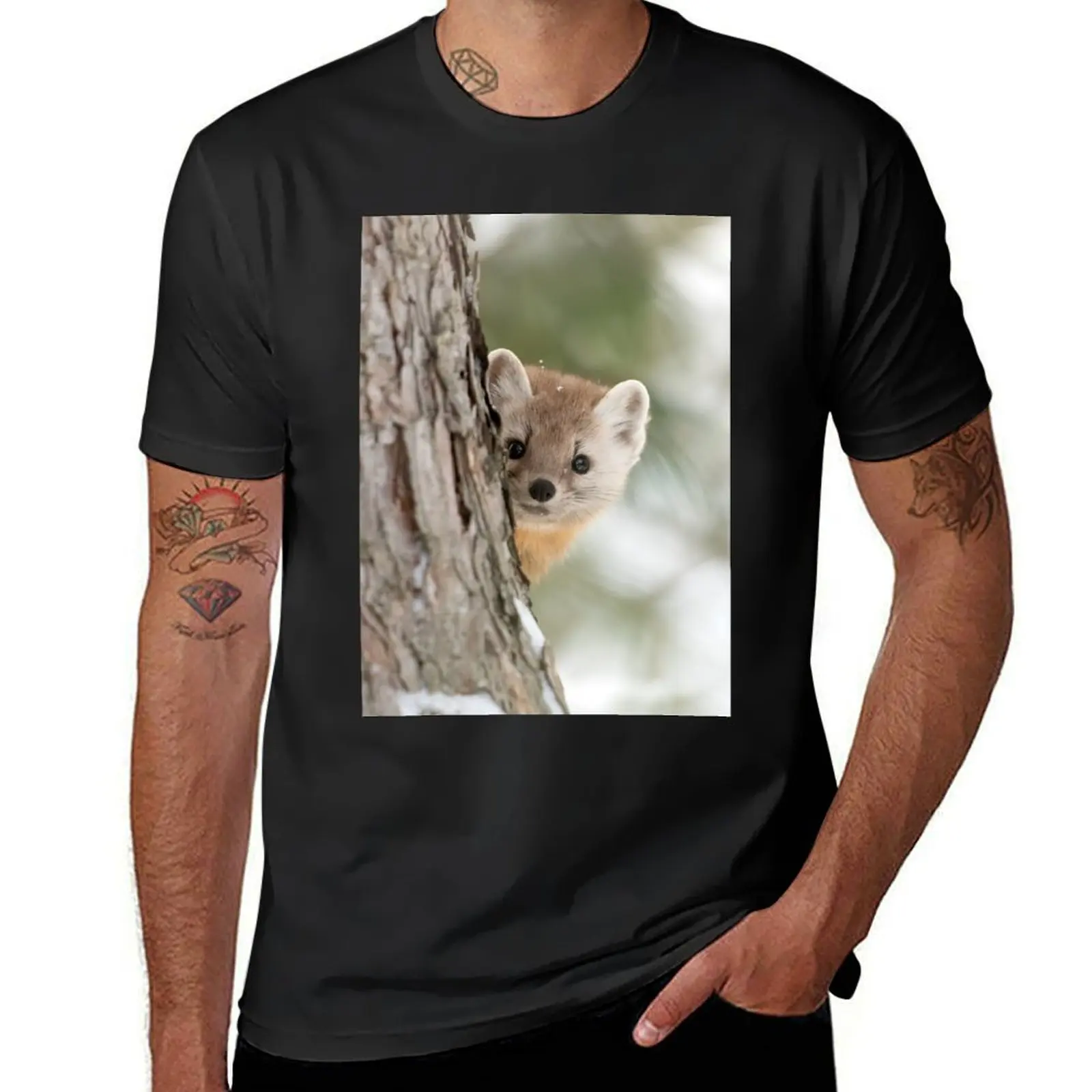 Pine Marten - Algonquin Park T-Shirt tees boys whites men t shirts