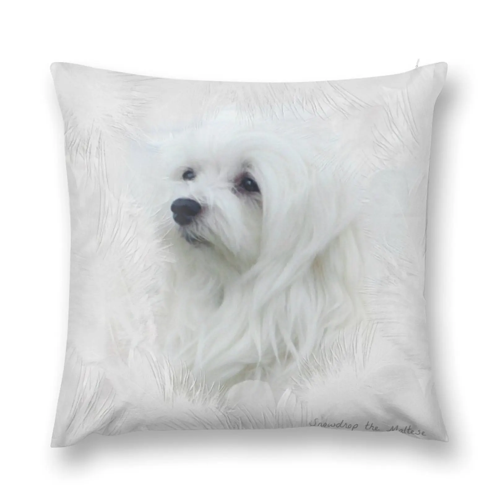 Snowdrop the Maltese Throw Pillow Cushions Cushion Cover For Sofa Sofa Decorative Covers Sofa Cover pillow