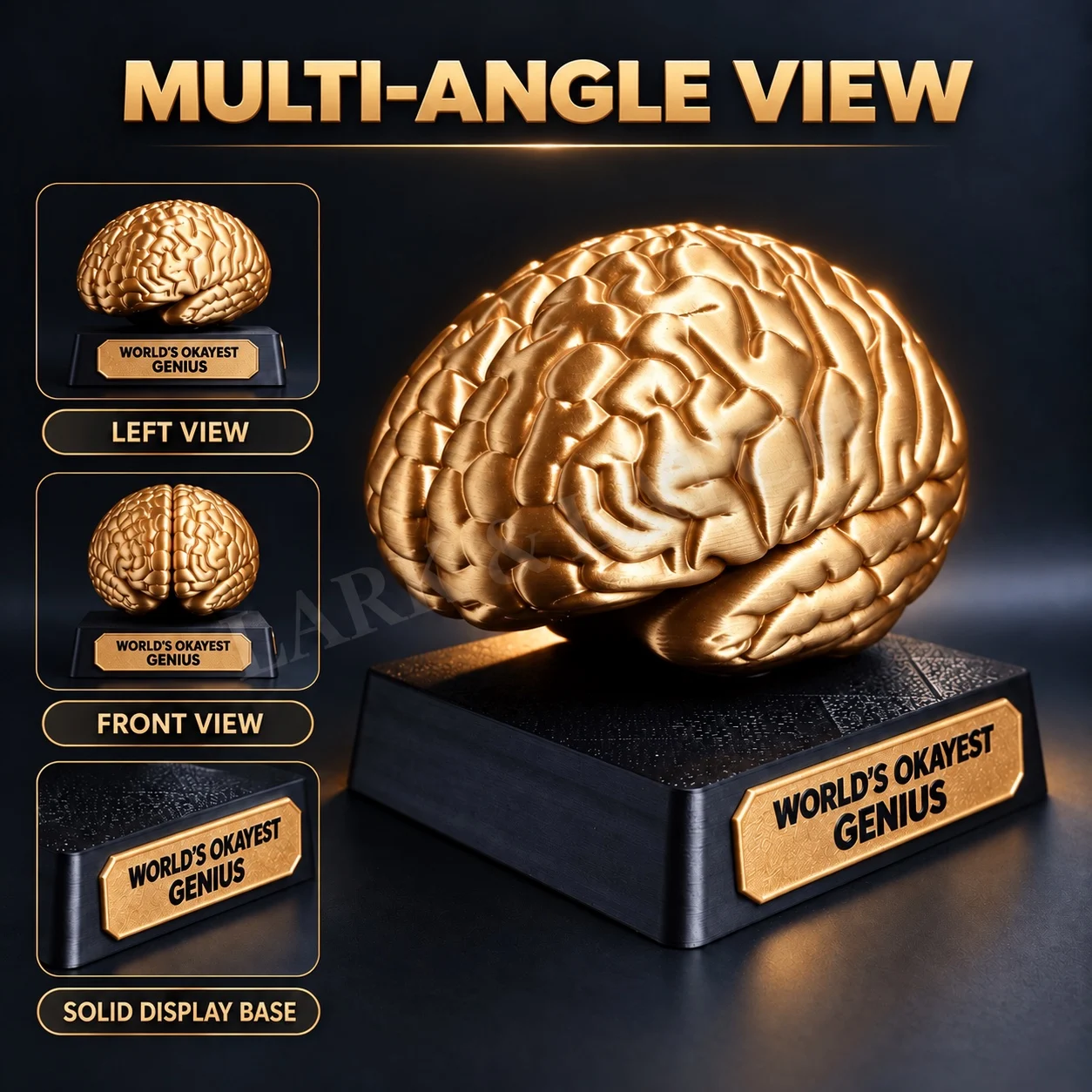 Custom Brain Trophy Personalized Desk Award Funny Coworker Boss Gift World's Okayest Genius Big Brain Energy Decor