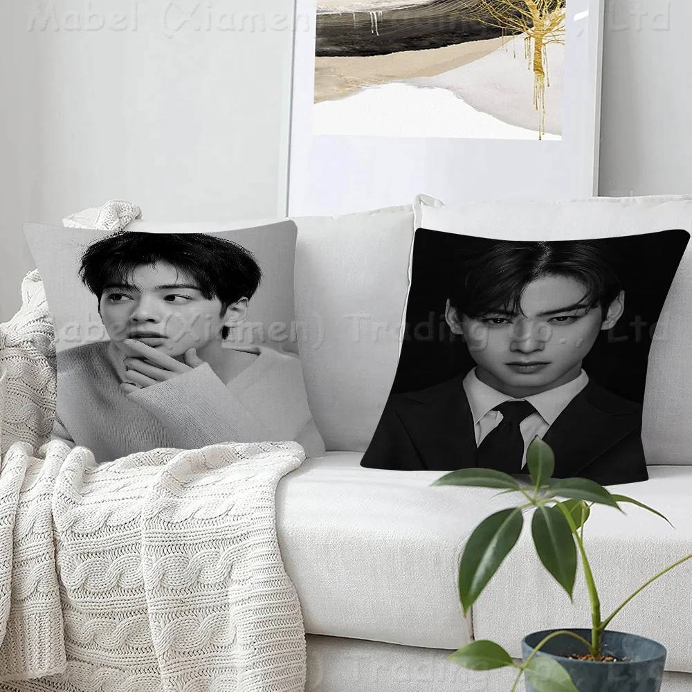 

Cha-EunWoo Pillow Cover Design Cushion Cover Decor Holiday Decorati