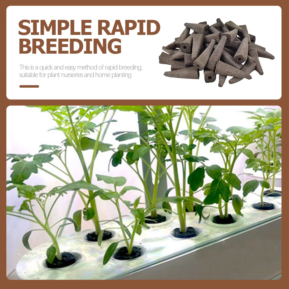 50 قطعة الإسفنج المائية تنمو الإسفنج لحديقة داخلية استخدام عالية امتصاص الهواء نفاذية نمو النبات كاتب المقابس #1